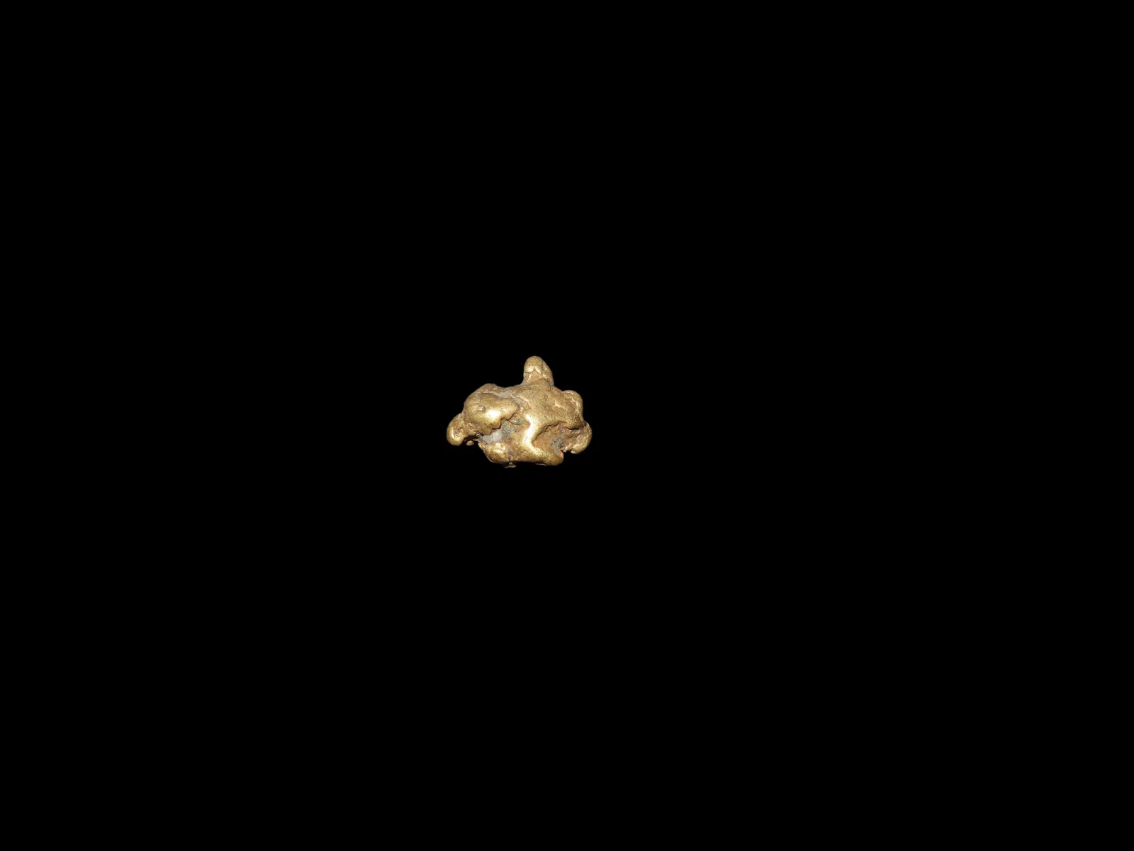 0.8 gram Gold Nugget, Found by Bill Goodwin in New Mexico in 1962