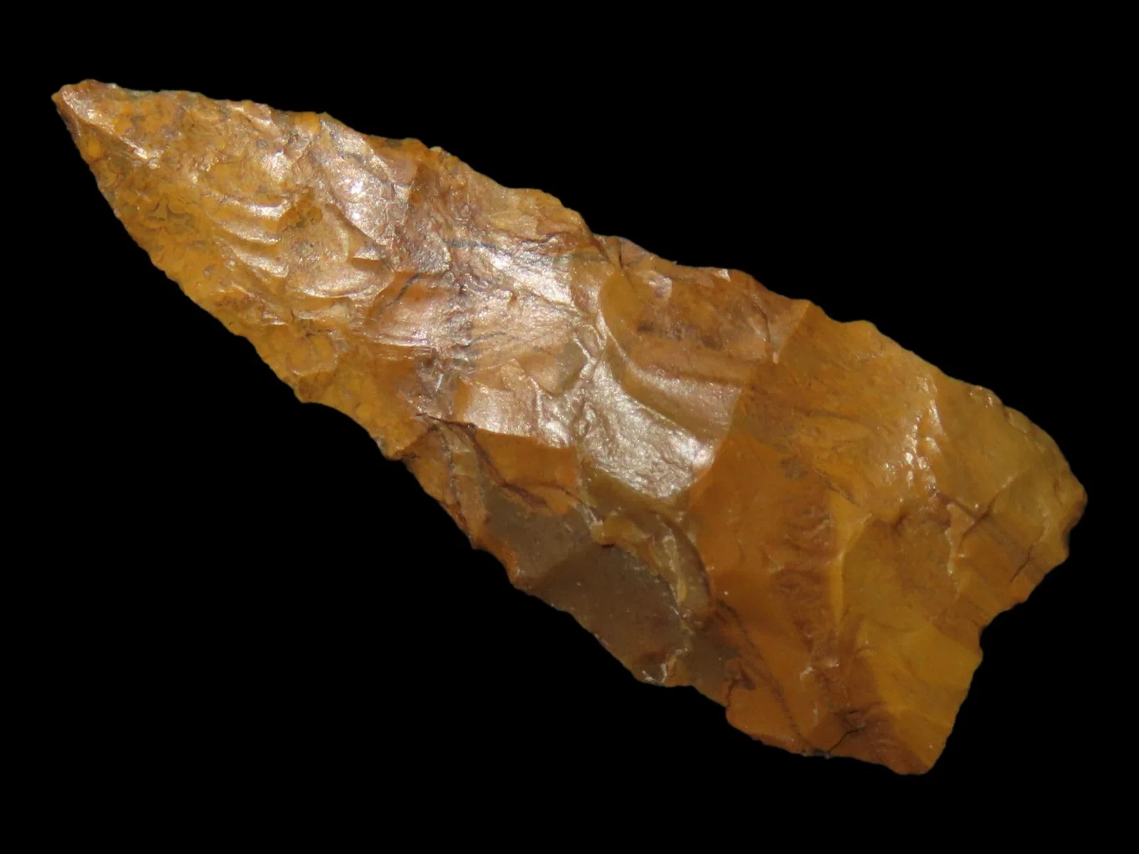 1 1/8" Avonlea Type, Found on Kolstad Ranch, South Shore Tiber Reservior in 1964, Ex Richard Larson