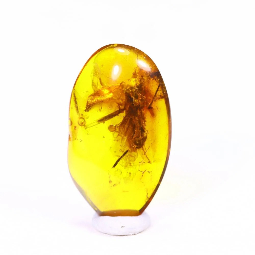 *1.56cts Natural Million Year Old Baltic Insect Amber, 16x9mm , 5C