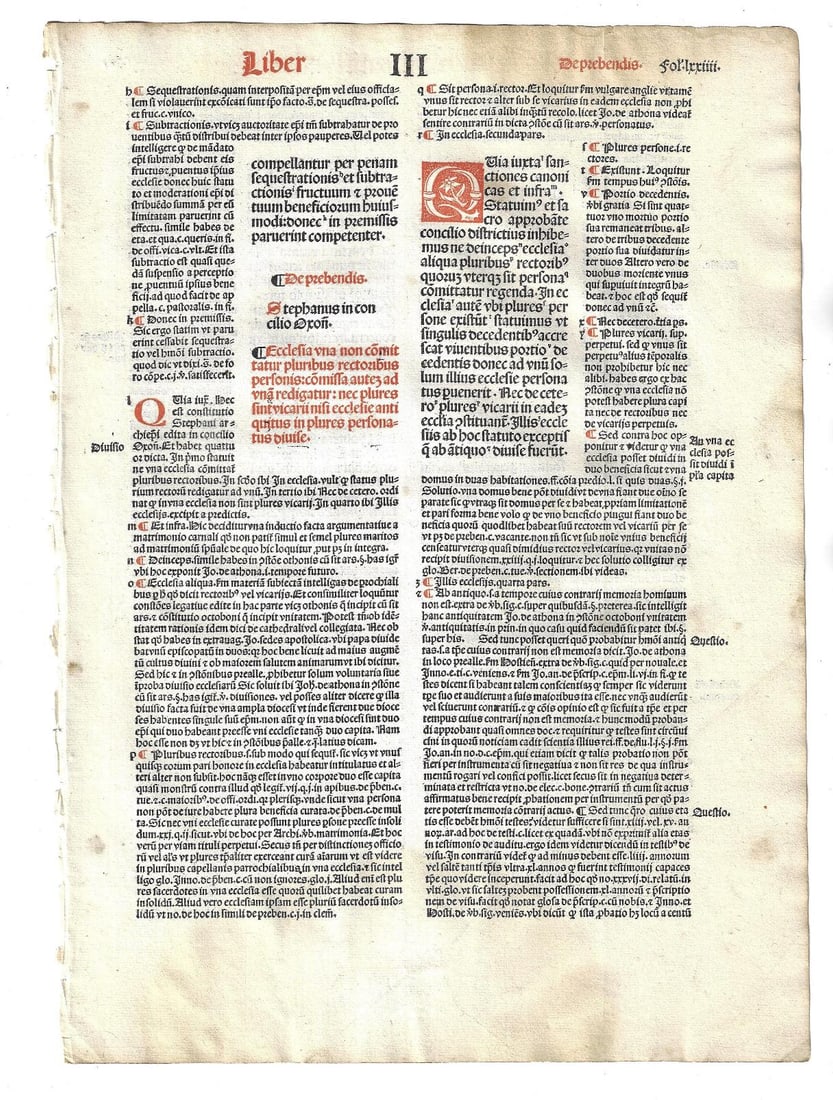 1501 Large Leaf Canterbury Laws Red and Black