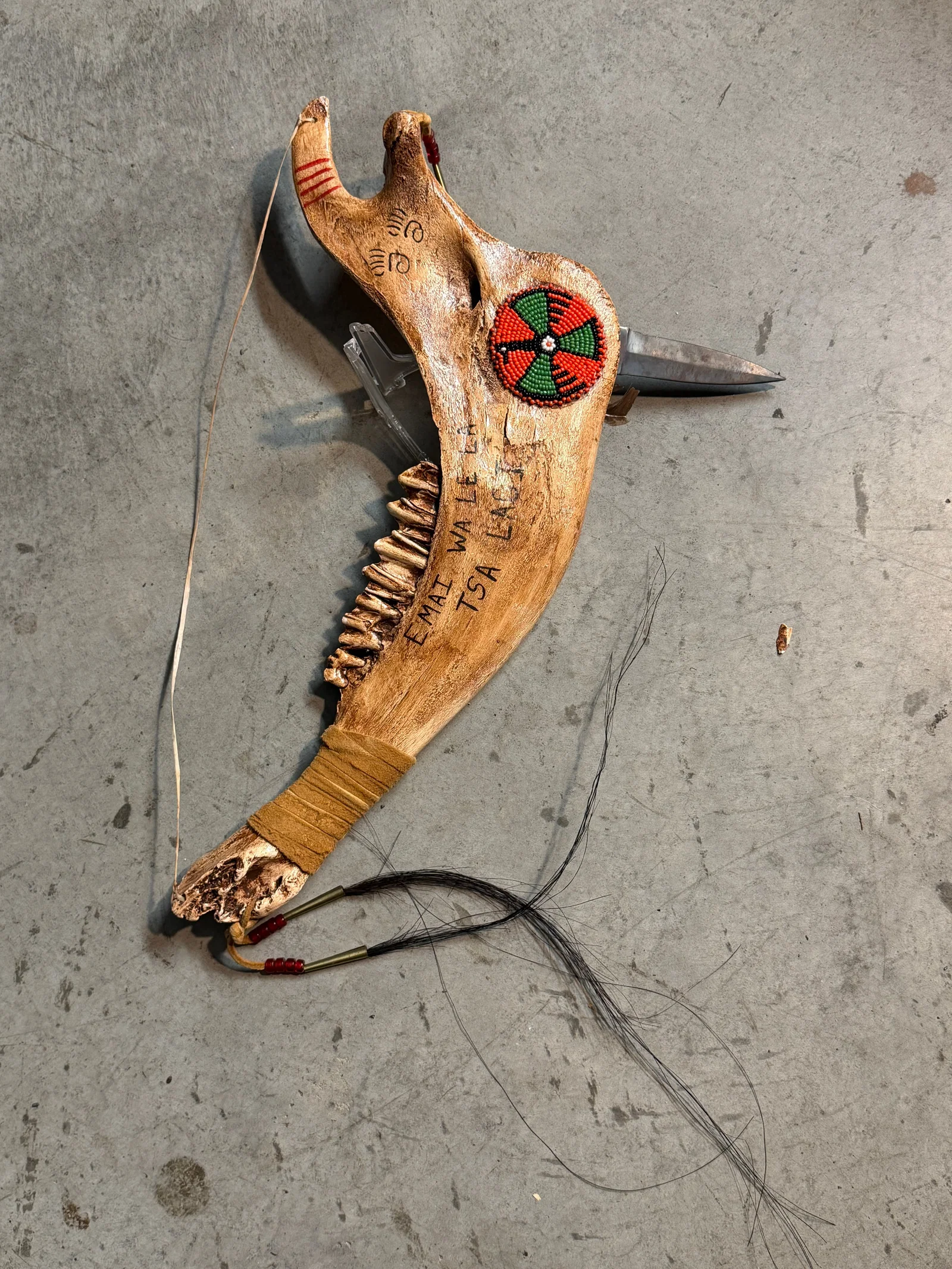 1800's Native American Decorated Animal Jaw Knife with Beaded Medallion and Feather Drop, Plains