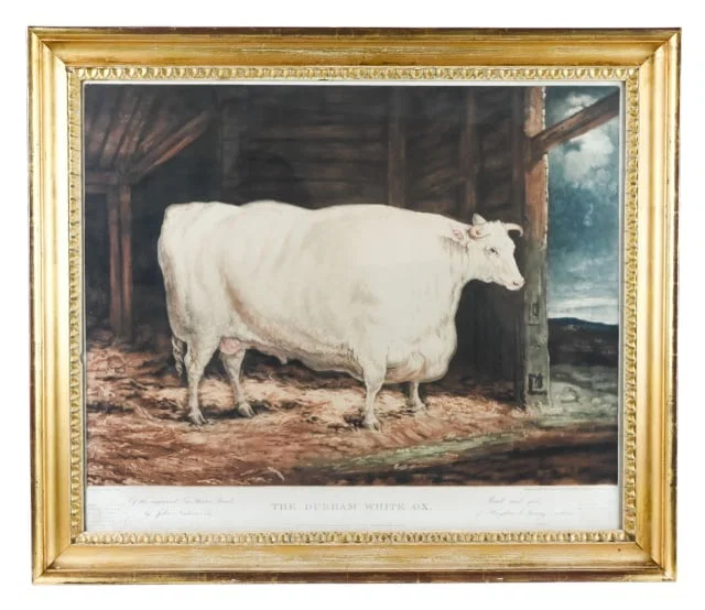 18th C. Garrad & Ward Engraving Durham White Ox