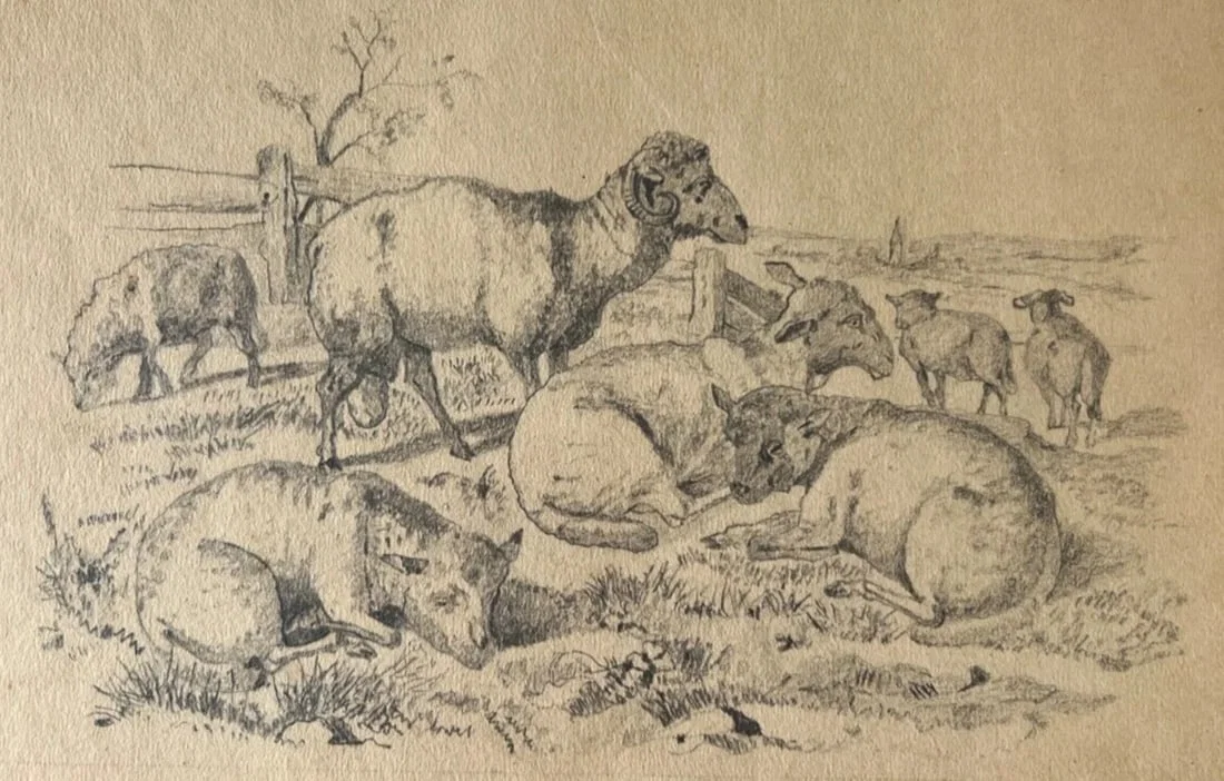 19th century Animals Sheeps Landscape Mountain Antique Drawing Original