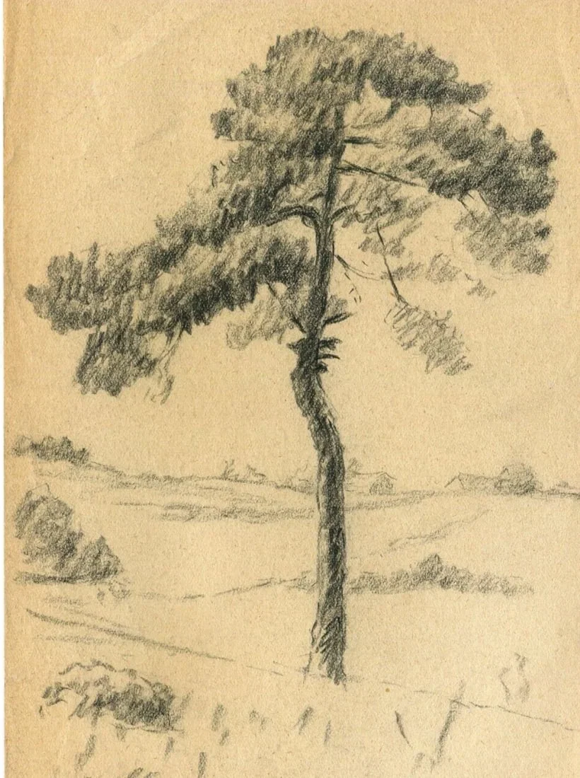 19th Century Pencil Drawing Trees Vegetation Landscape Leaves Antique Original