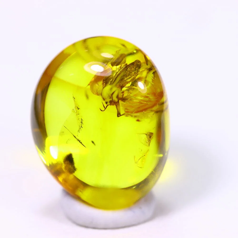 2.81cts Natural Million Year Old Baltic Insect Amber, 12x9mm, 1232B