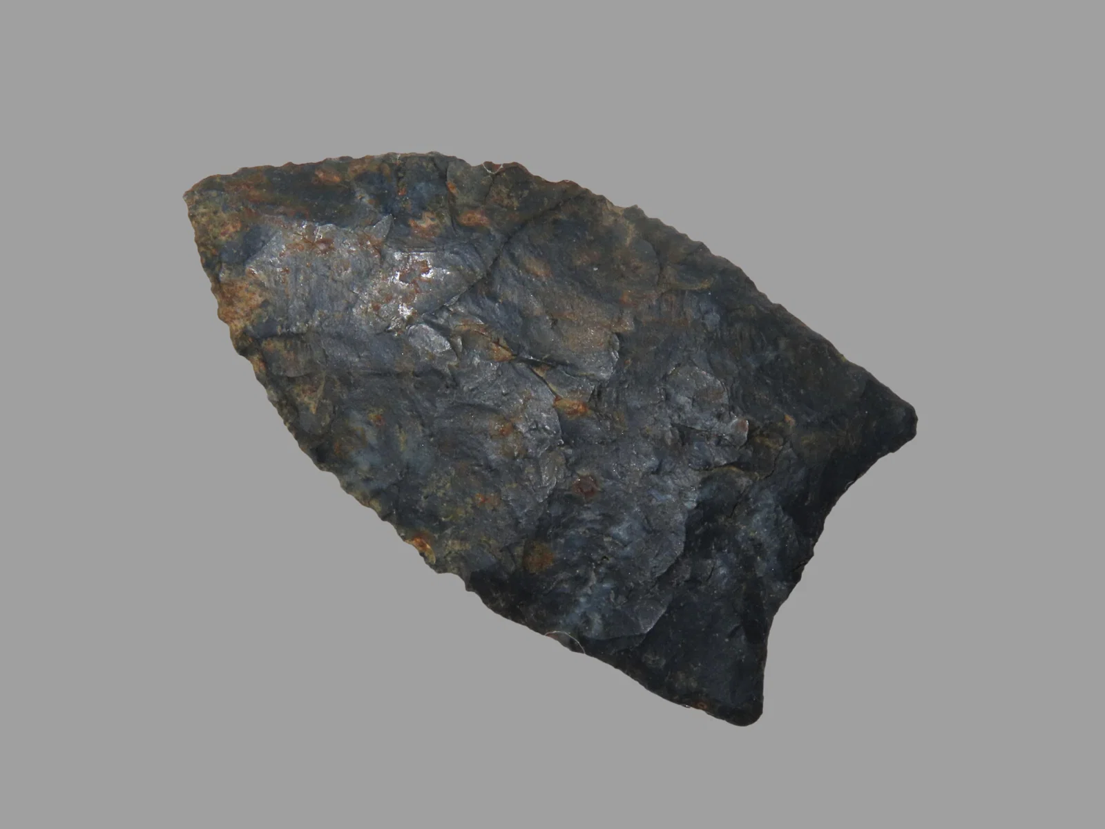 2' x 1 1/8' Clovis, Pitkin Chert, Lee Co. Arkansas, Motley / Leithoff COA