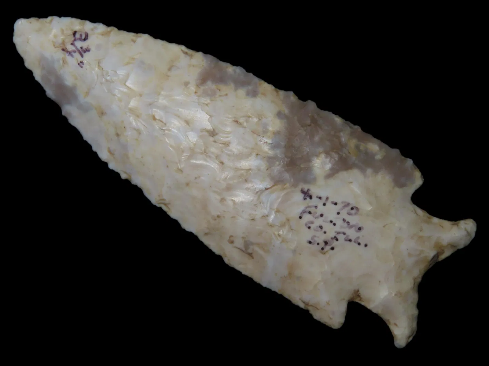 3 3/4" Holland, Paleo, Fulton Co. Illinois, Ex. Ray Bendrix of Canton IL