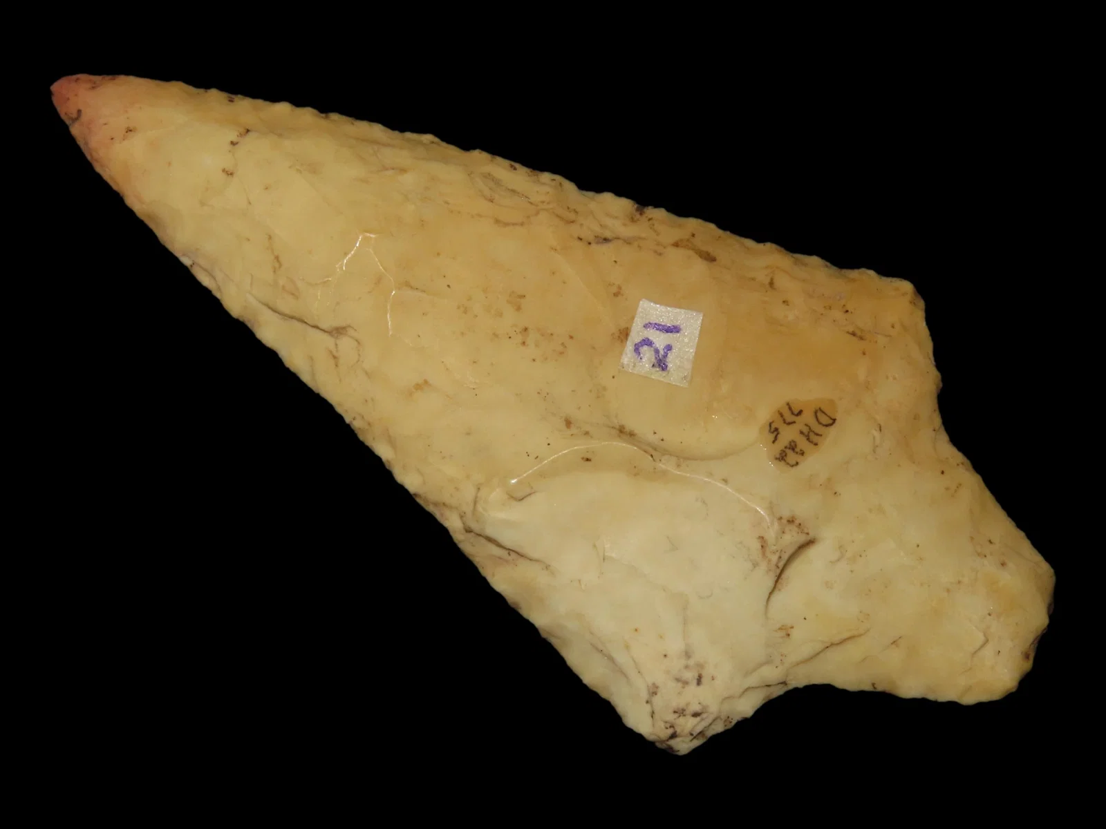 3 9/16" Dickson, Motley COA, Found in Green County, IL, Burlington, Ex. D.W. Havlin Collection