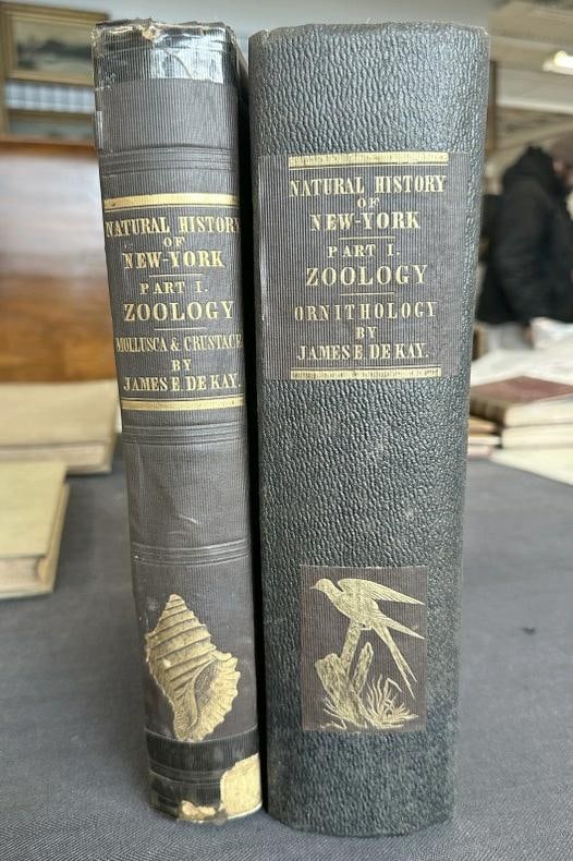 (3) Volumes NATURAL HISTORY OF NEW YORK ZOOLOGY including - ZOOLOGY OF NEW YORK OR THE NEW YORK