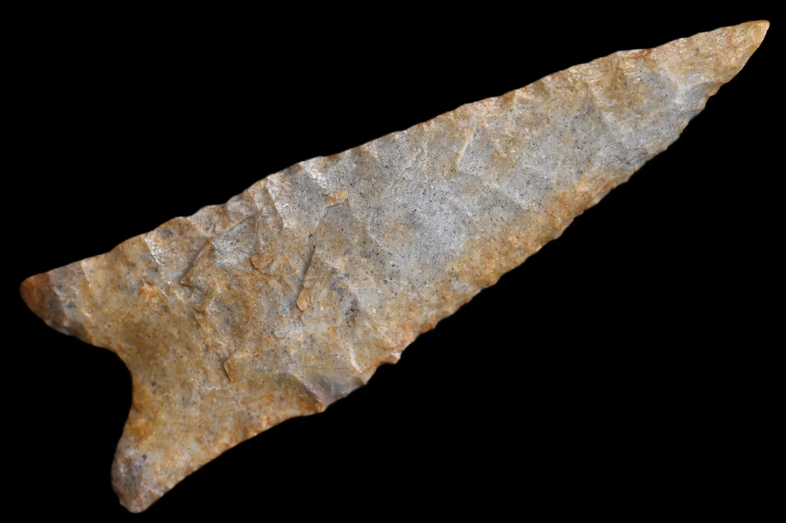 4 7/16" Creek Stained Dalton w/ Keele COA made out of Oolithic Chert Found in Pettis Co. Missouri.