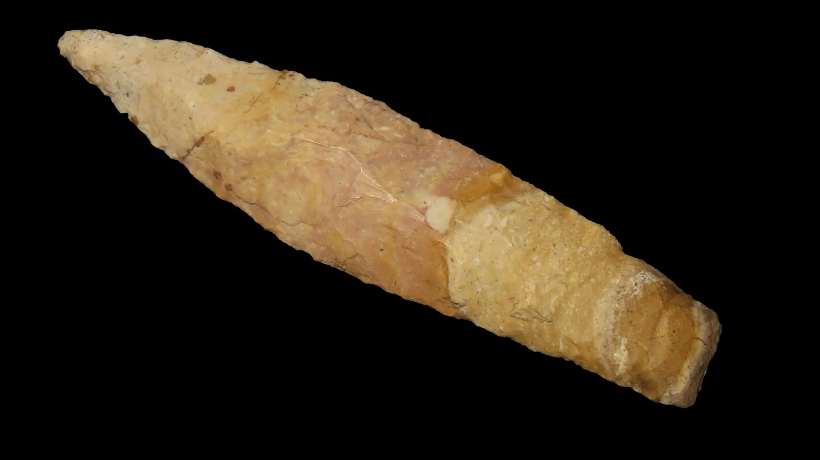 5 3/16" x 1 3/16" Sedalia, Motley COA, Found in Pike Co., Missouri, Made of Bowling Green Brown
