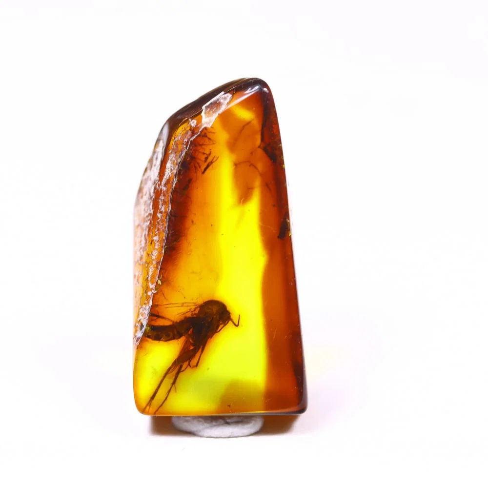 *6.83cts Natural Million Year Old Baltic Insect Amber, 21x11mm , 16C