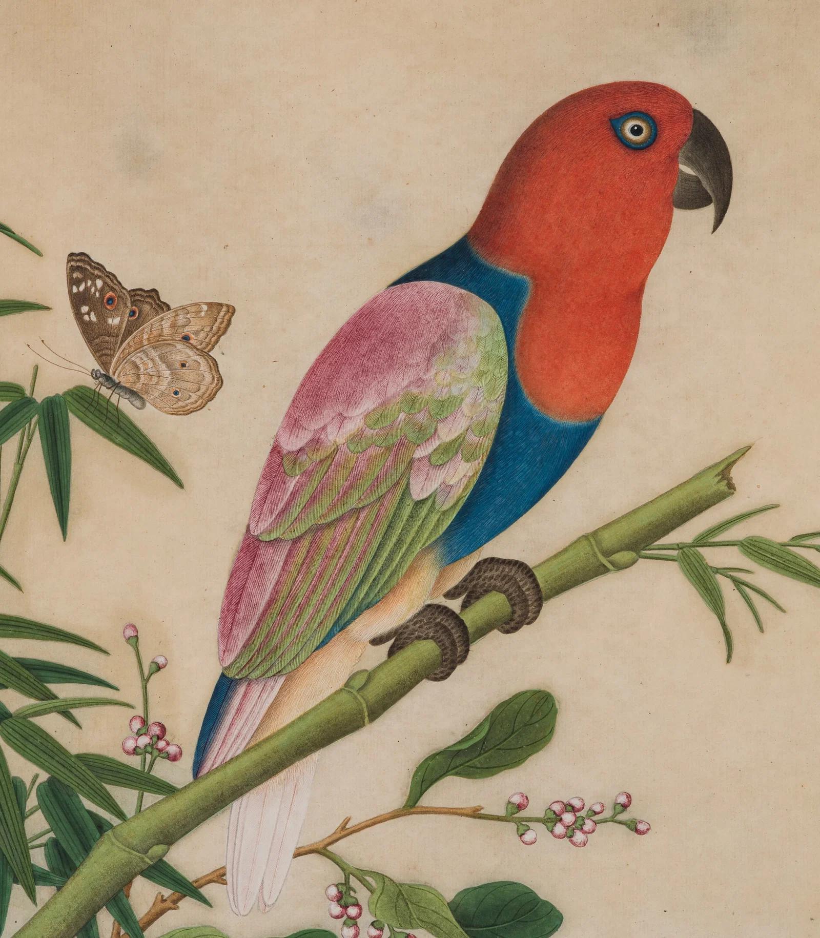 A FINE PAINTING OF AN ECLECTUS PARROT ON A BAMBOO SHOOT, QIANLONG PERIOD