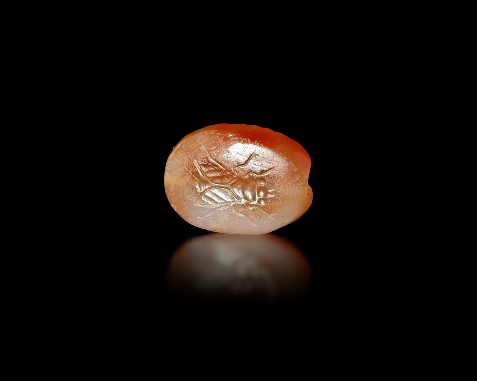 A GREEK CARNELIAN SCARABOID WITH FLY INTAGLIO, 4TH-3RD CENTURY BC