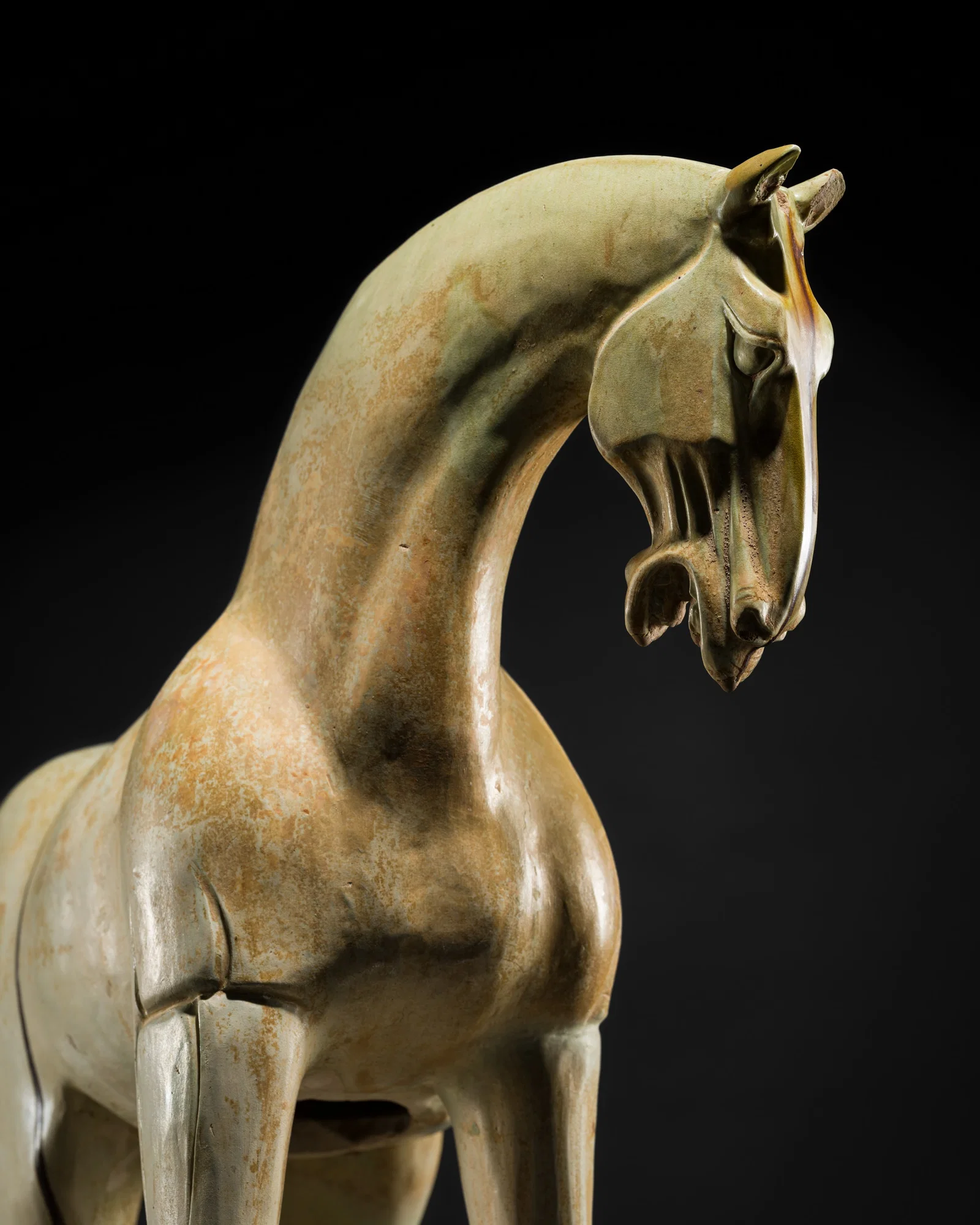 A LARGE SANCAI GLAZED POTTERY FIGURE OF A FERGHANA HORSE, TANG DYNASTY