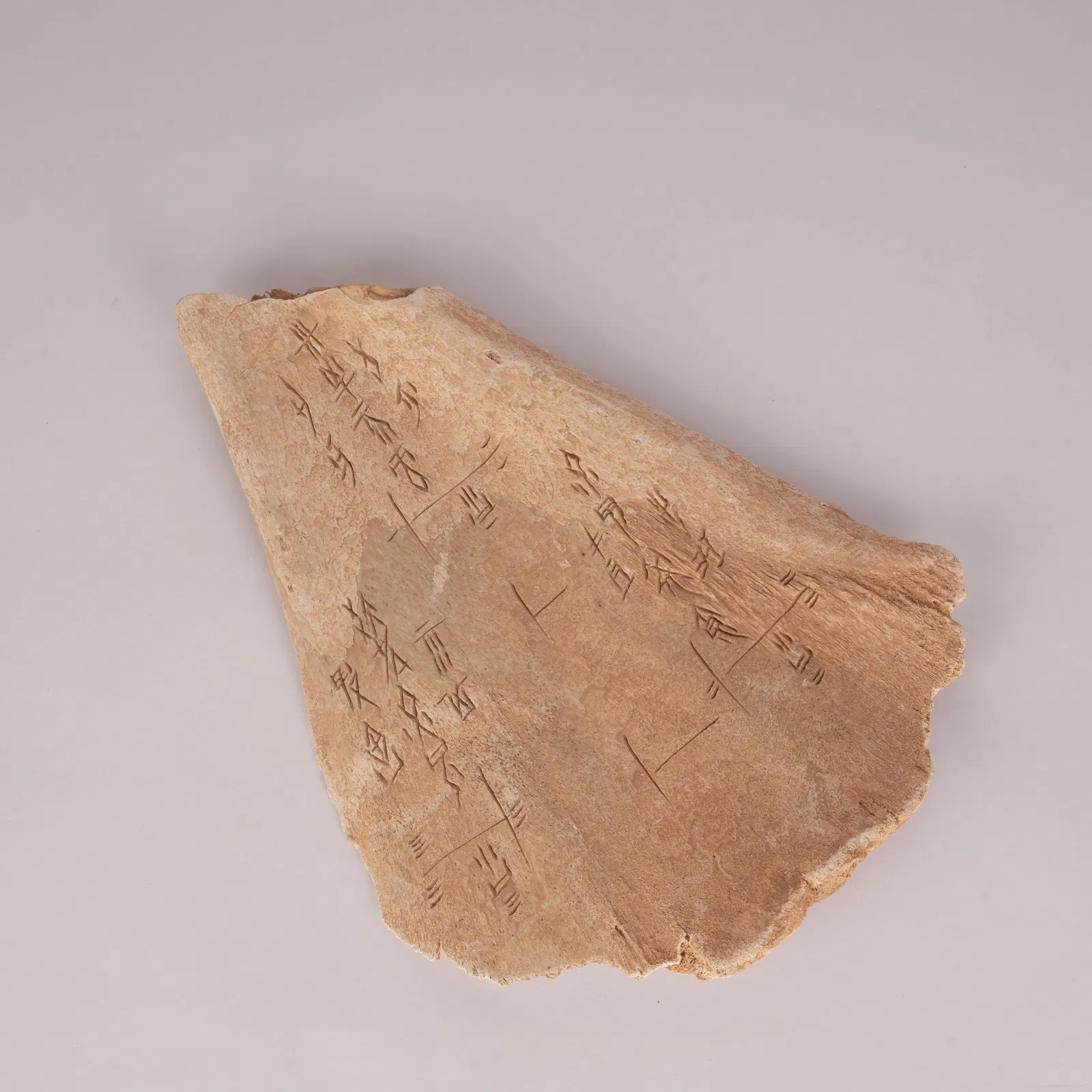A ORACLE INSCRIPTIONS, SHANG DYNASTY