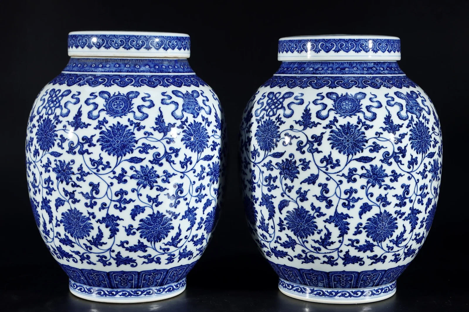 A Pair of Exquisite Blue and White Lotus Pattern Jar with Cover