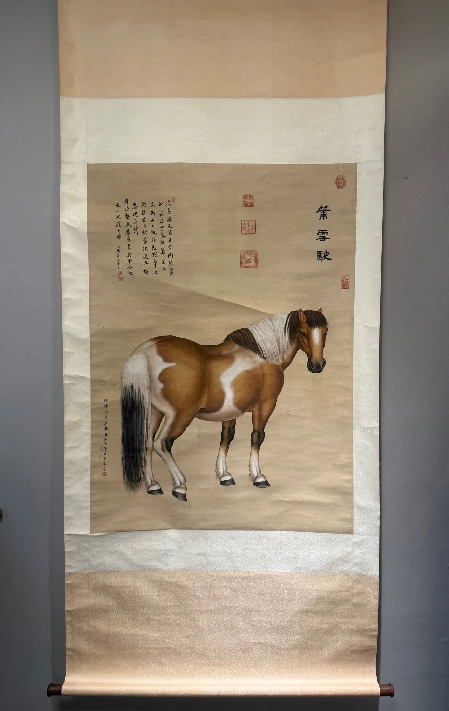 A picture of Lang Shining's thousand-mile horse