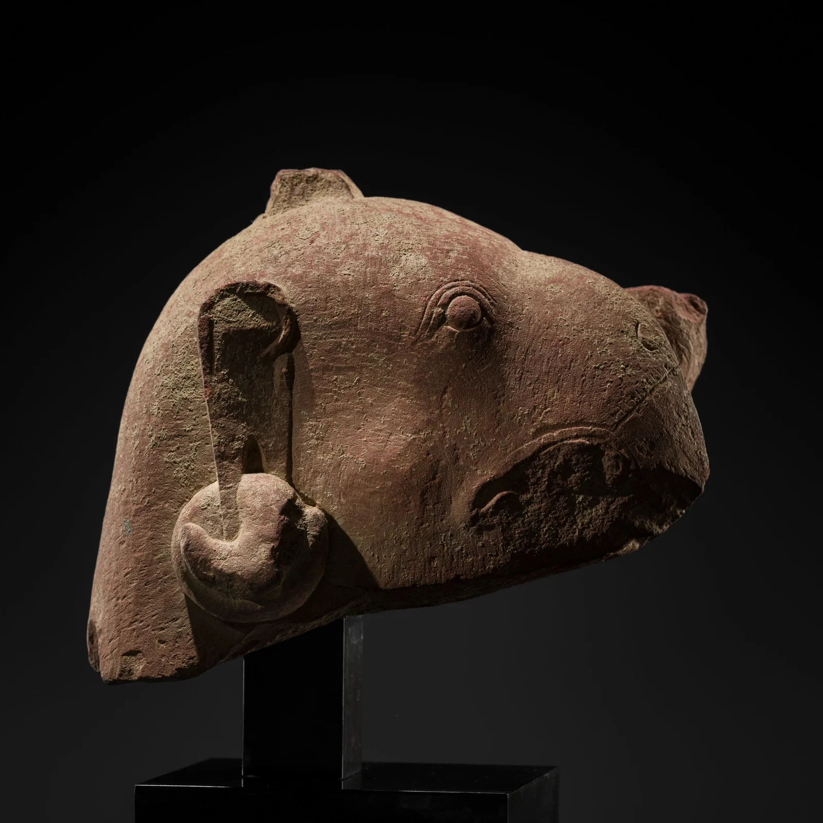 A RED SANDSTONE HEAD OF GARUDA, MATHURA, KUSHAN PERIOD, CIRCA 3RD CENTURY