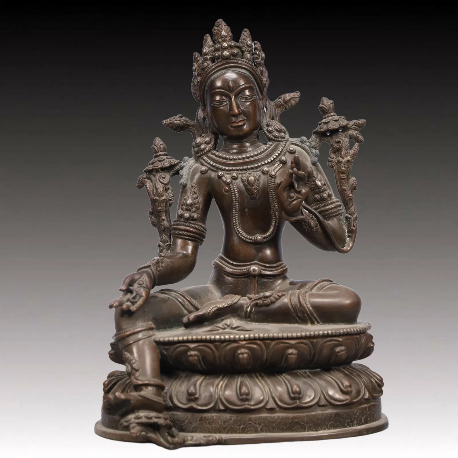 A Solemn Bronze Statue of Tara