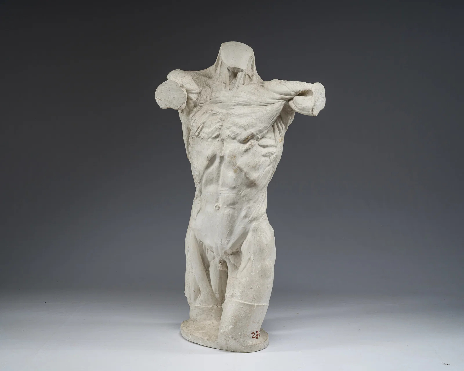 A tall plaster anatomical 'ecorche torso, 19th/20th C.