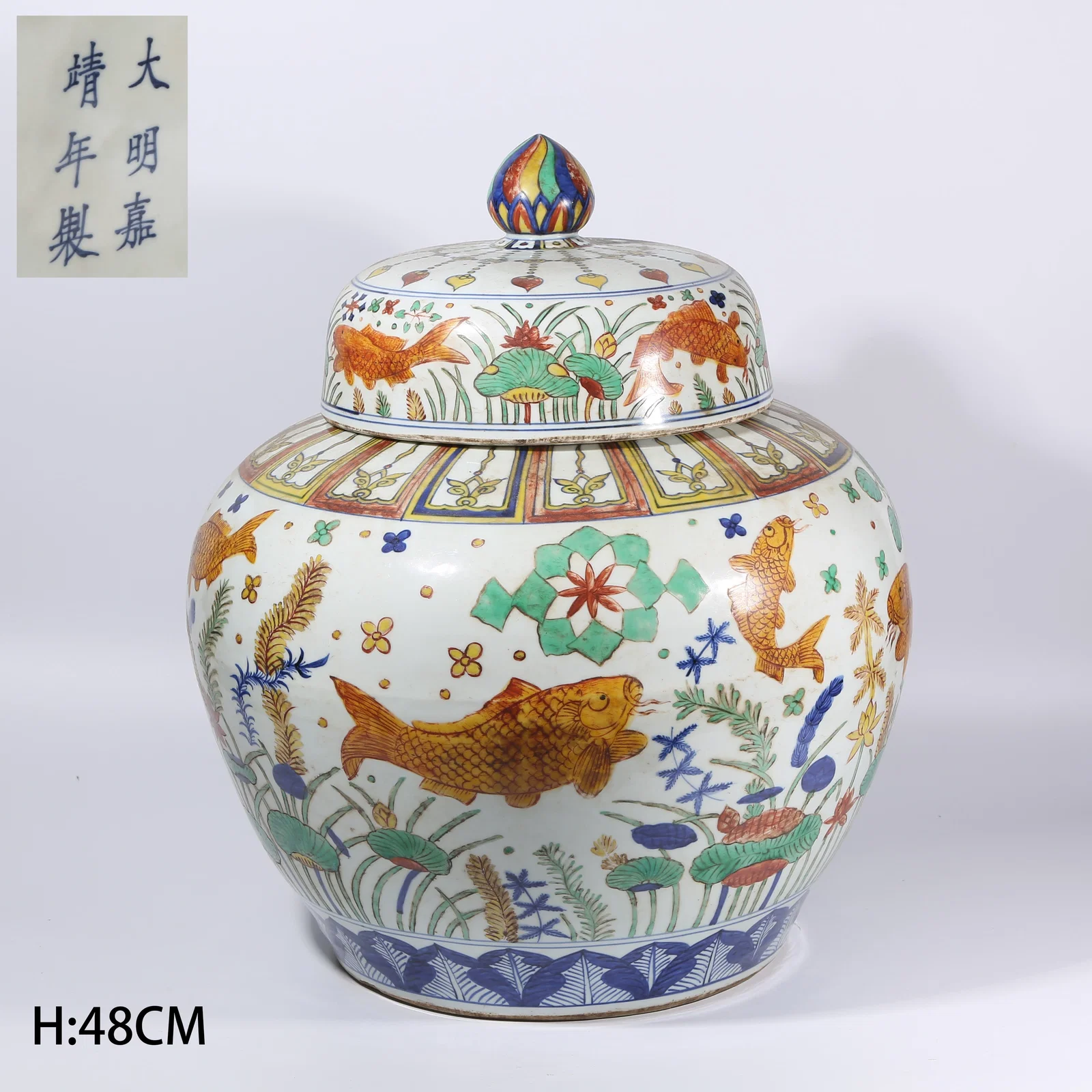 A WUCAI FISH AND ALGAE PATTERN LARGE JAR