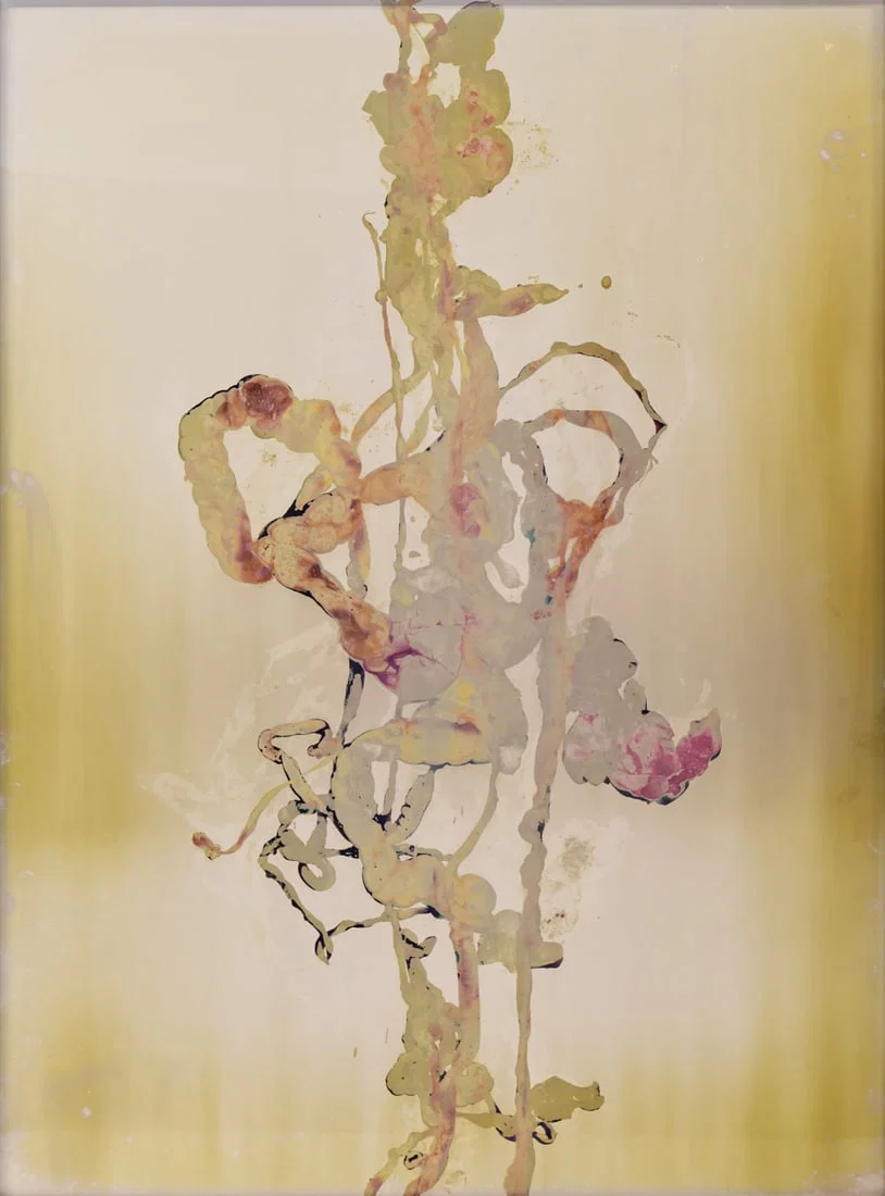 ADAM FUSS (AMERICAN / BRITISH, B. 1961)