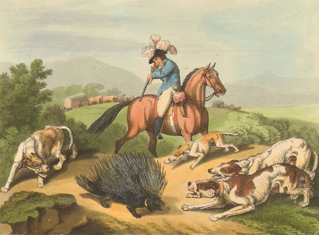 AFRICA. Shooting Porcupine. Horse. Dogs. Wagon. Rifle (Edward Orme) 1814