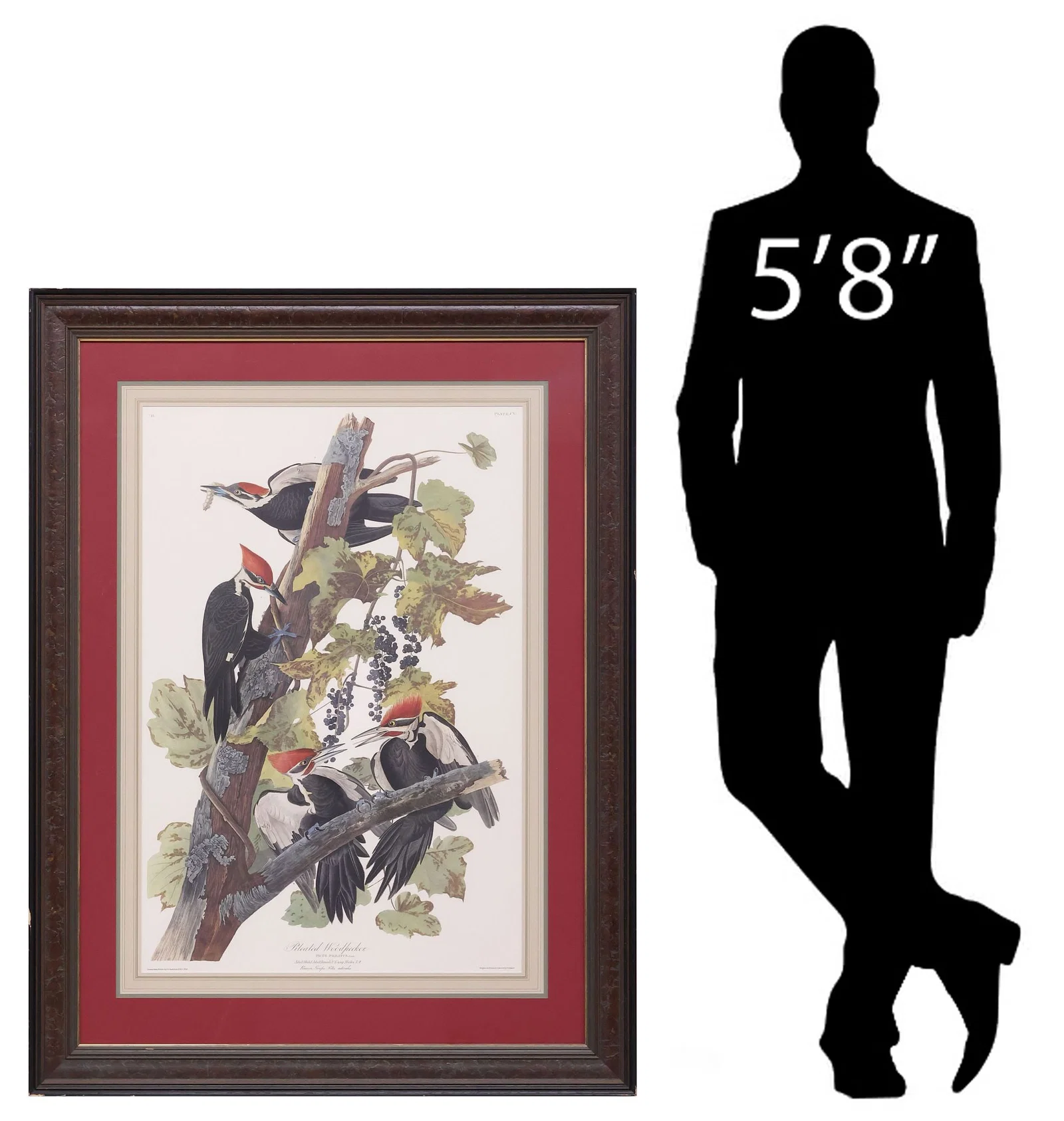 AFTER J.J. AUDUBON (1785-1851) LIMITED-EDITION WILDLIFE PRINT, WOODPECKER
