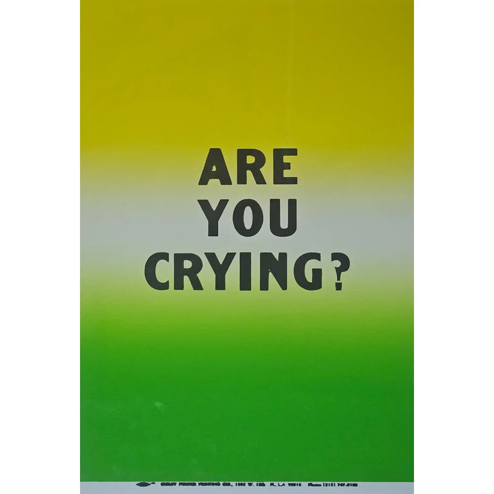 Allen Ruppersberg, Are You Crying? #2