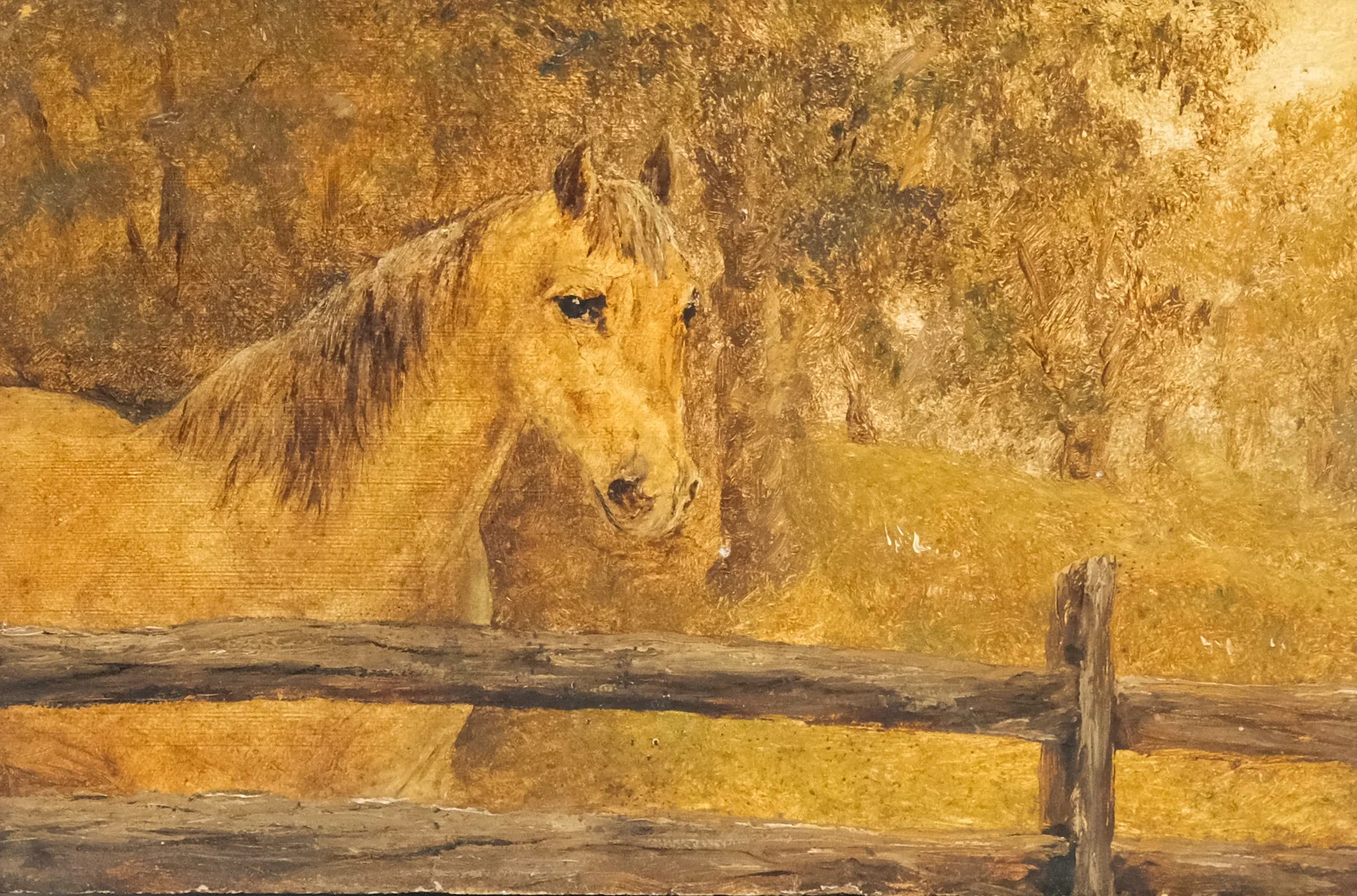 American School, Horse