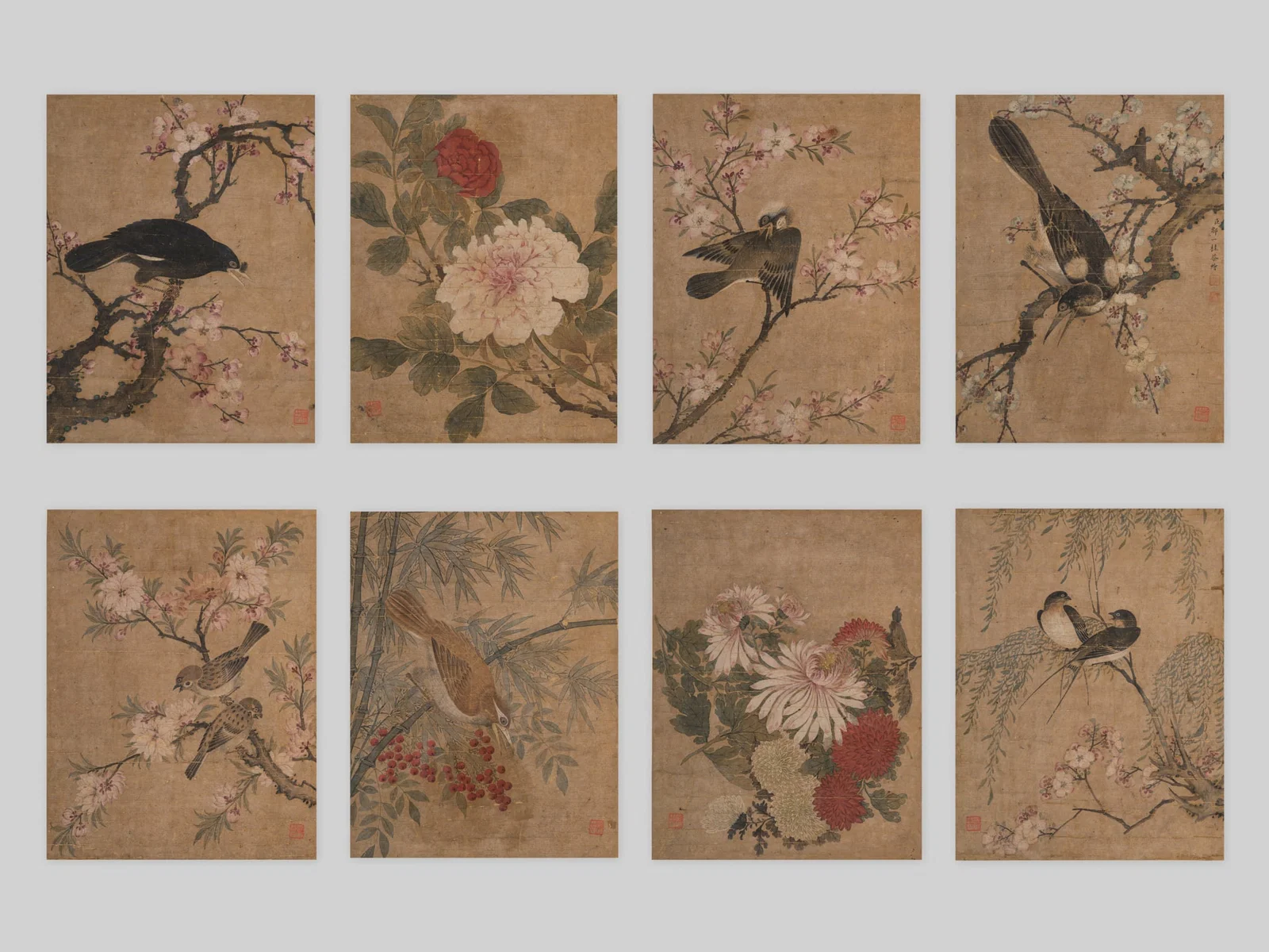 AN ALBUM OF EIGHT 'FLOWERS AND BIRDS' PAINTINGS, BY ZOU YIGUI (1686-1772)