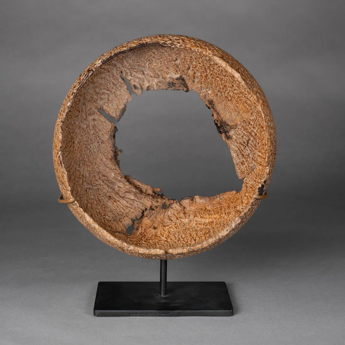 An ancient Iroquois burlwood bowl
