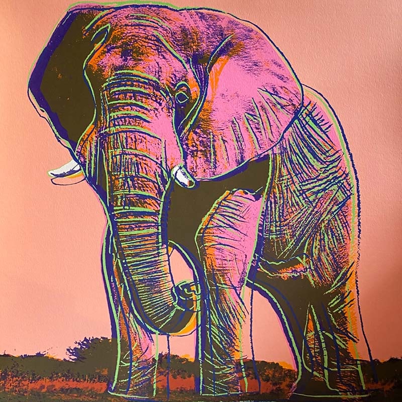 Andy Warhol (American, 1928-1987) Serigraph Screen print African Elephant 1983 from the Endangered