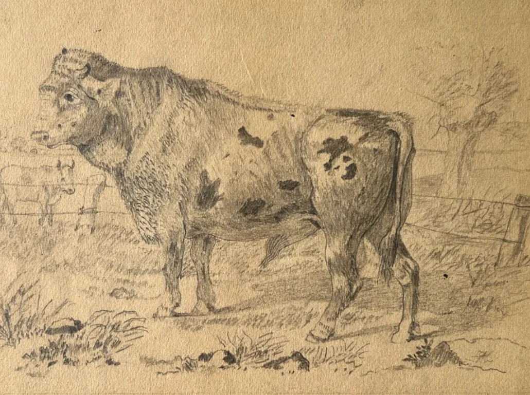 Antique Drawing Original Animals, Bull, Landscape, Fields 19th century