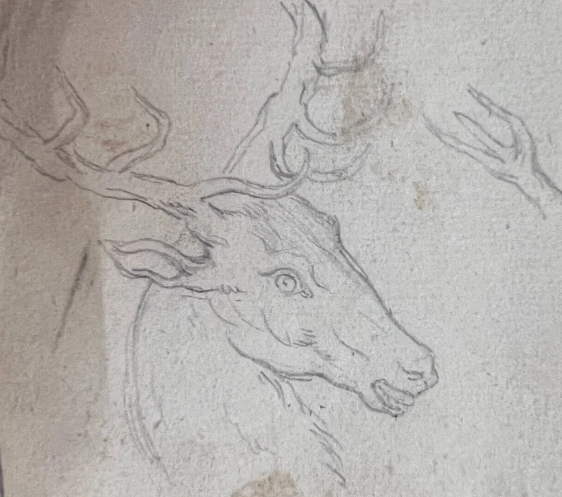 Antique Pencil Original 19th century Drawing Deer, Animal