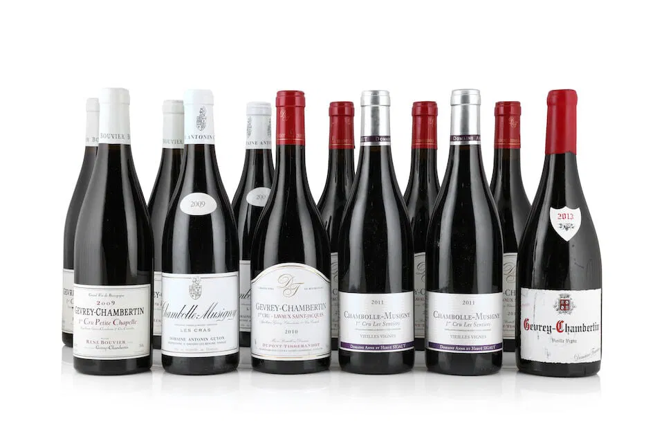 Antonin Guyon, Chambolle-Musigny Les Cras, 2009 (2 x 750ml) René Bouvier, Gevrey-Chamberti...