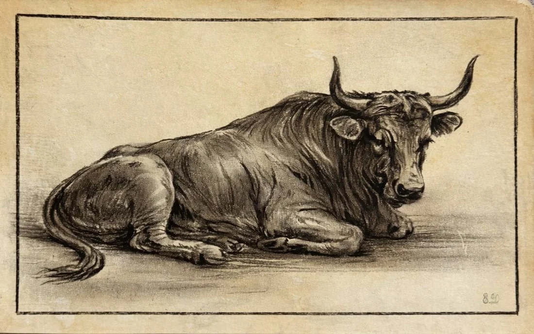Attributed to Rembrandt van Rijn (1606-1669), Study of a Bull