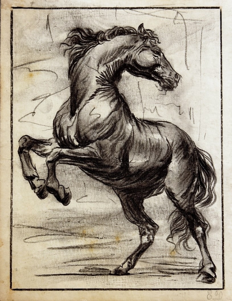 Attributed to Rembrandt van Rijn (1606-1669), Study of a Horse