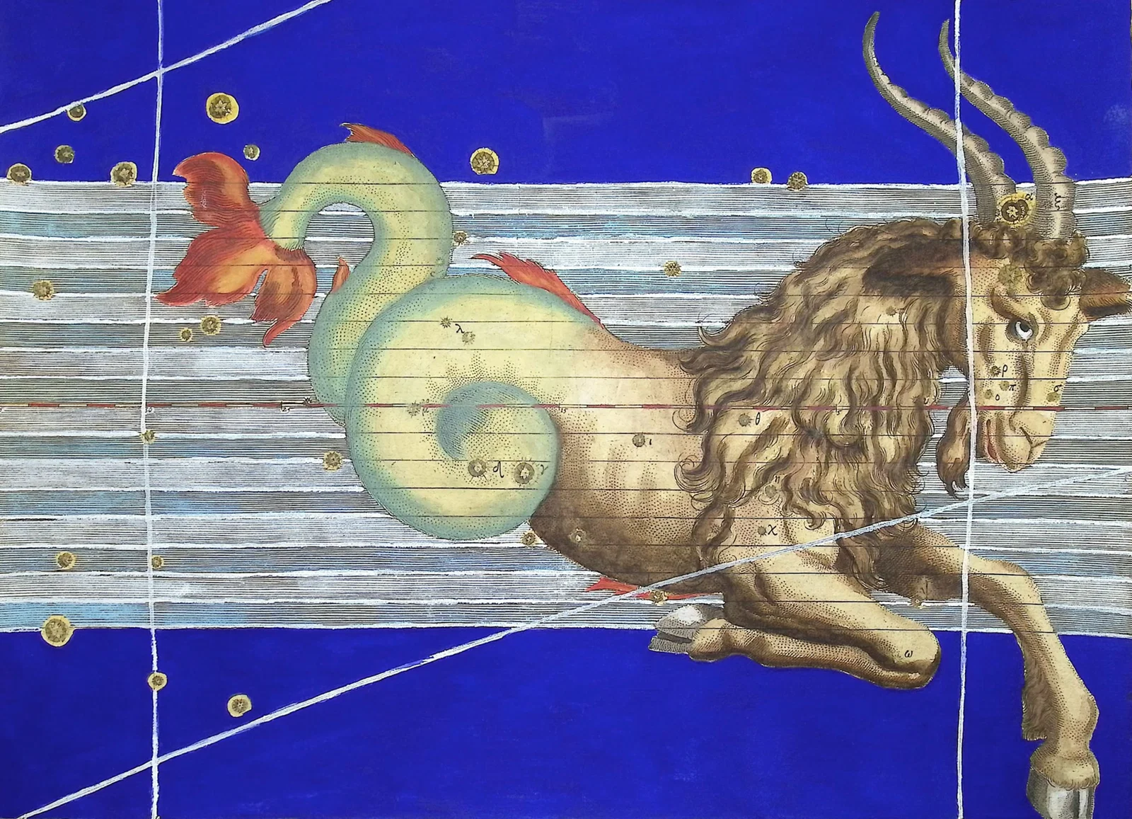 Bayer - Constellation or Star Chart of Capricorn