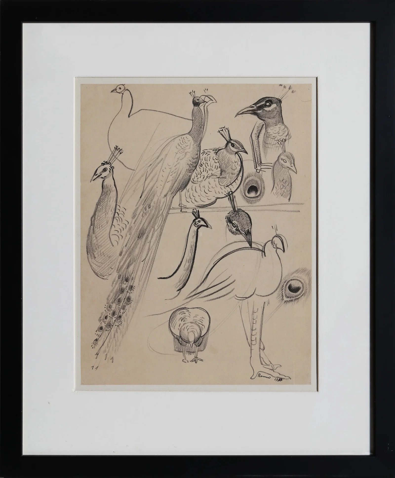 Benjamin Benno, Birds, Drawing