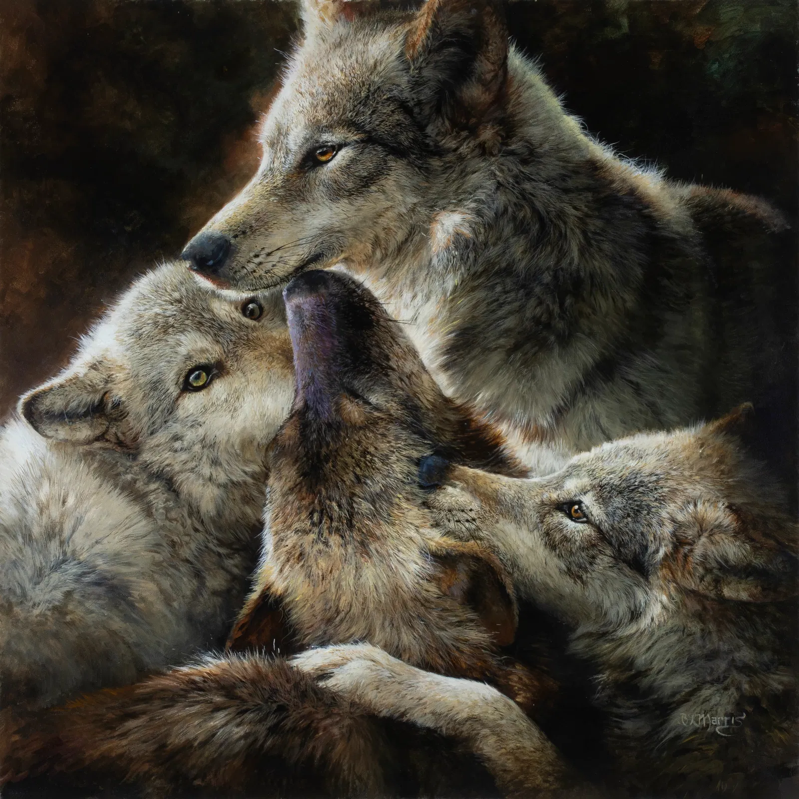 Bonnie Marris, "Wolves Being Wolves"