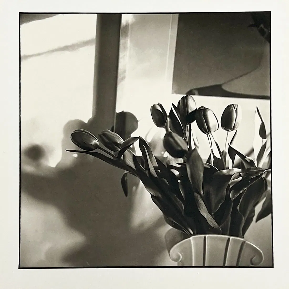 Bruce Cratsley - New Jersey Tulips