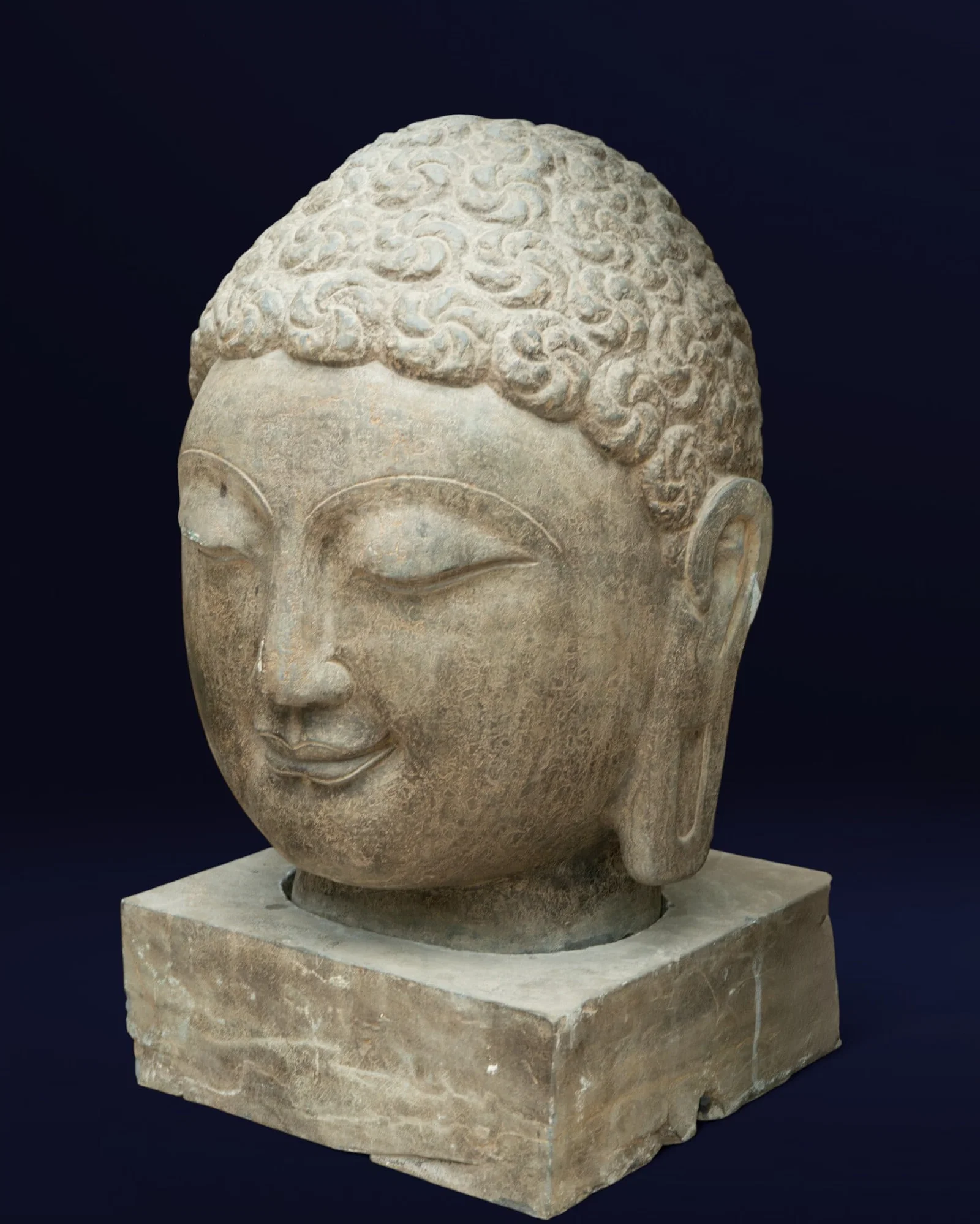 Buddha head, China, possibly 18th century