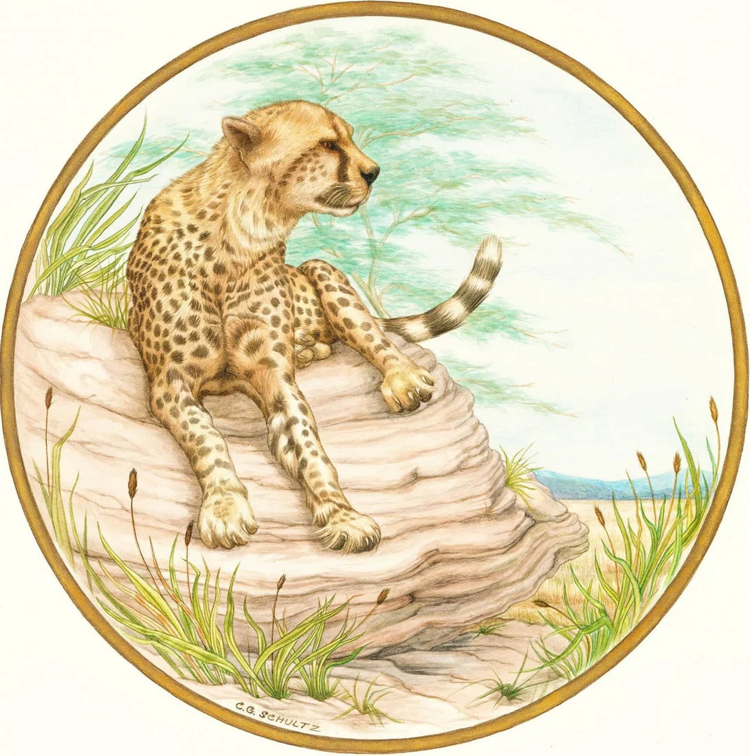 C G Schultz (US,20C) watercolor painting