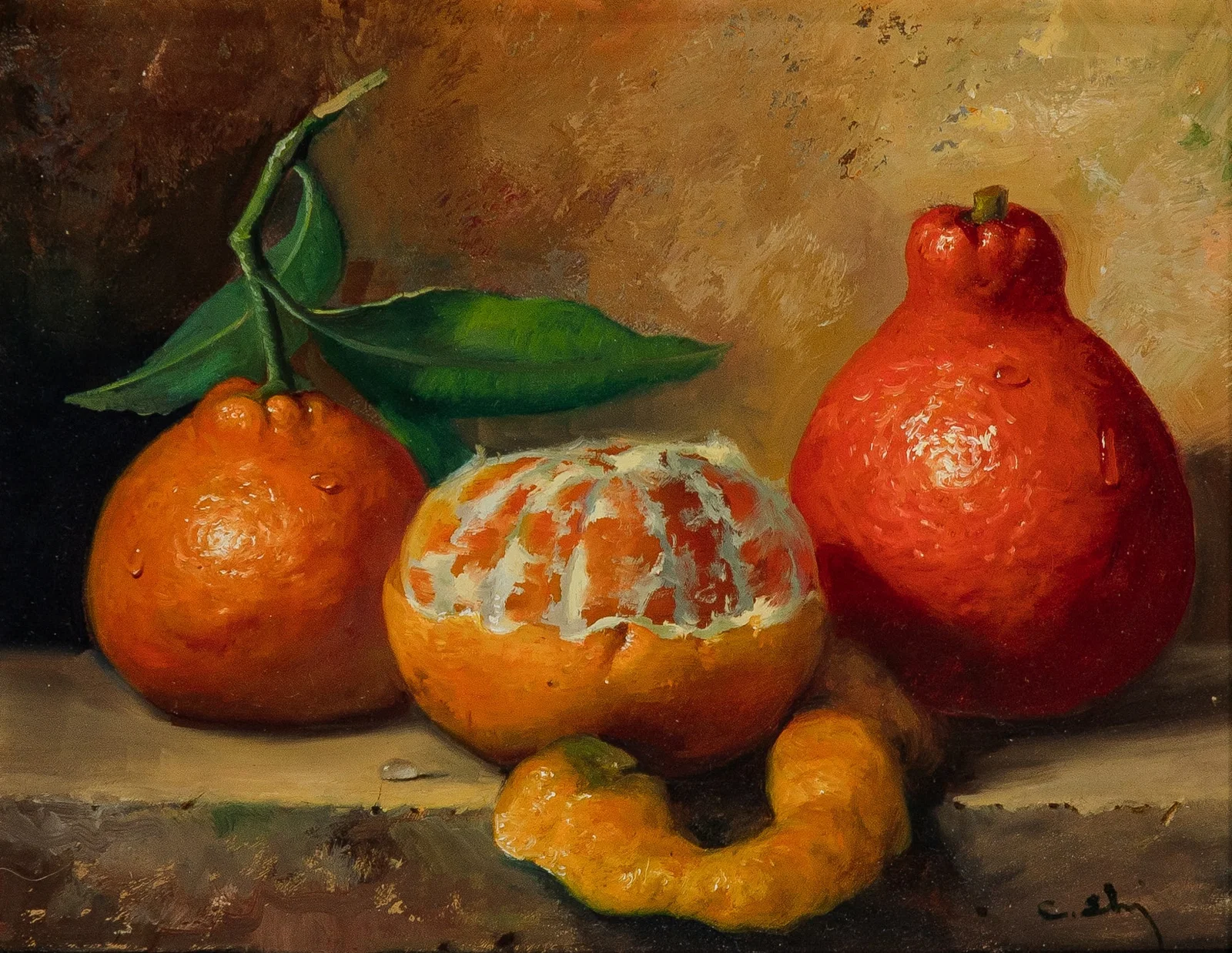 Carle Shi