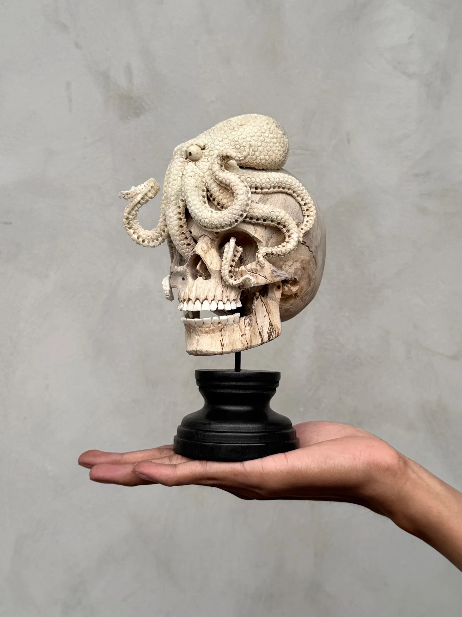 Carved human skull with a stunning carved octopus