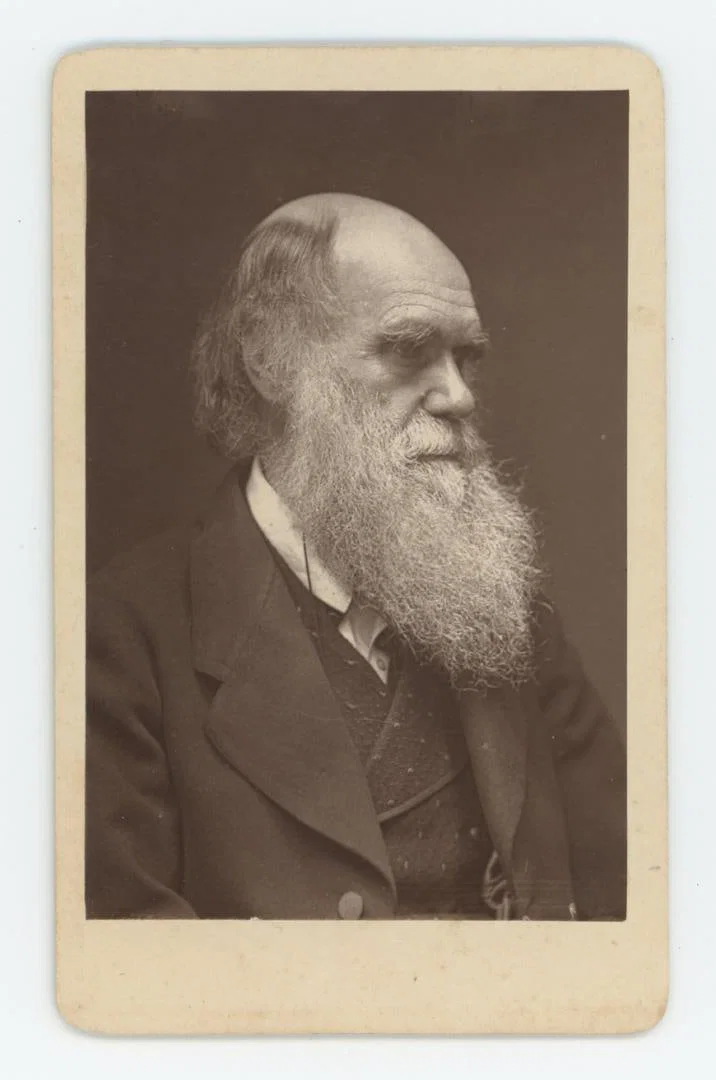 Charles Darwin Evolutionary Scientist CDV Photo
