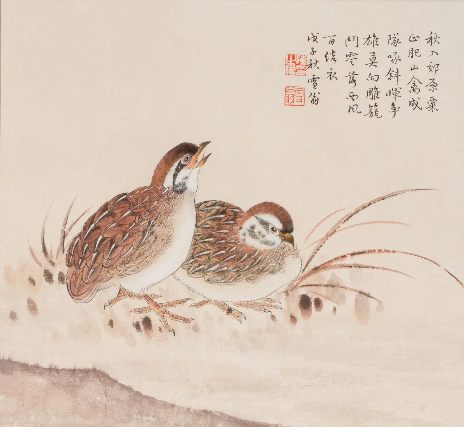 Chen Zhifo Quail