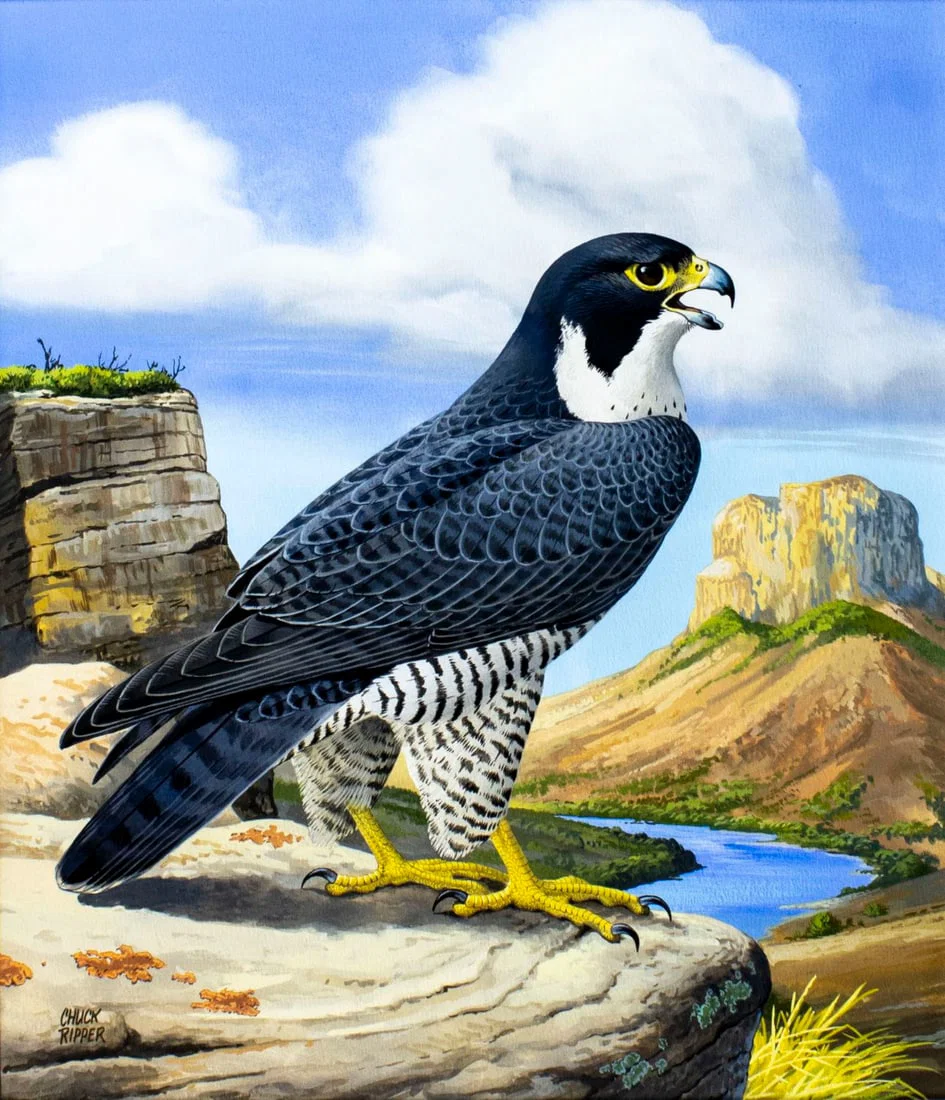 Chuck Ripper (WV,PA,1929-2019) gouache painting